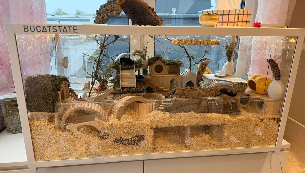 Artgerechtes Goldhamster-Gehege mit Einstreu und Rückzug – Beispiel Wolfgang Fellnasen